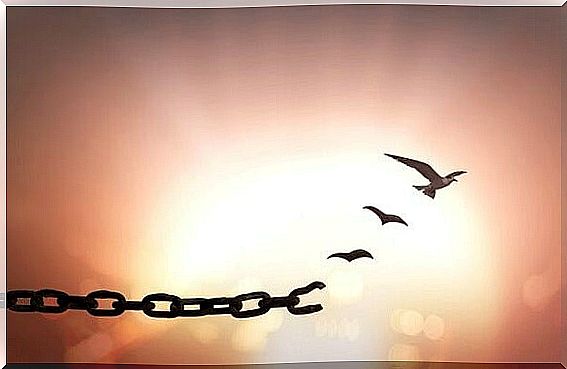 Chain that turns into birds symbolizing the phrases of Spinoza