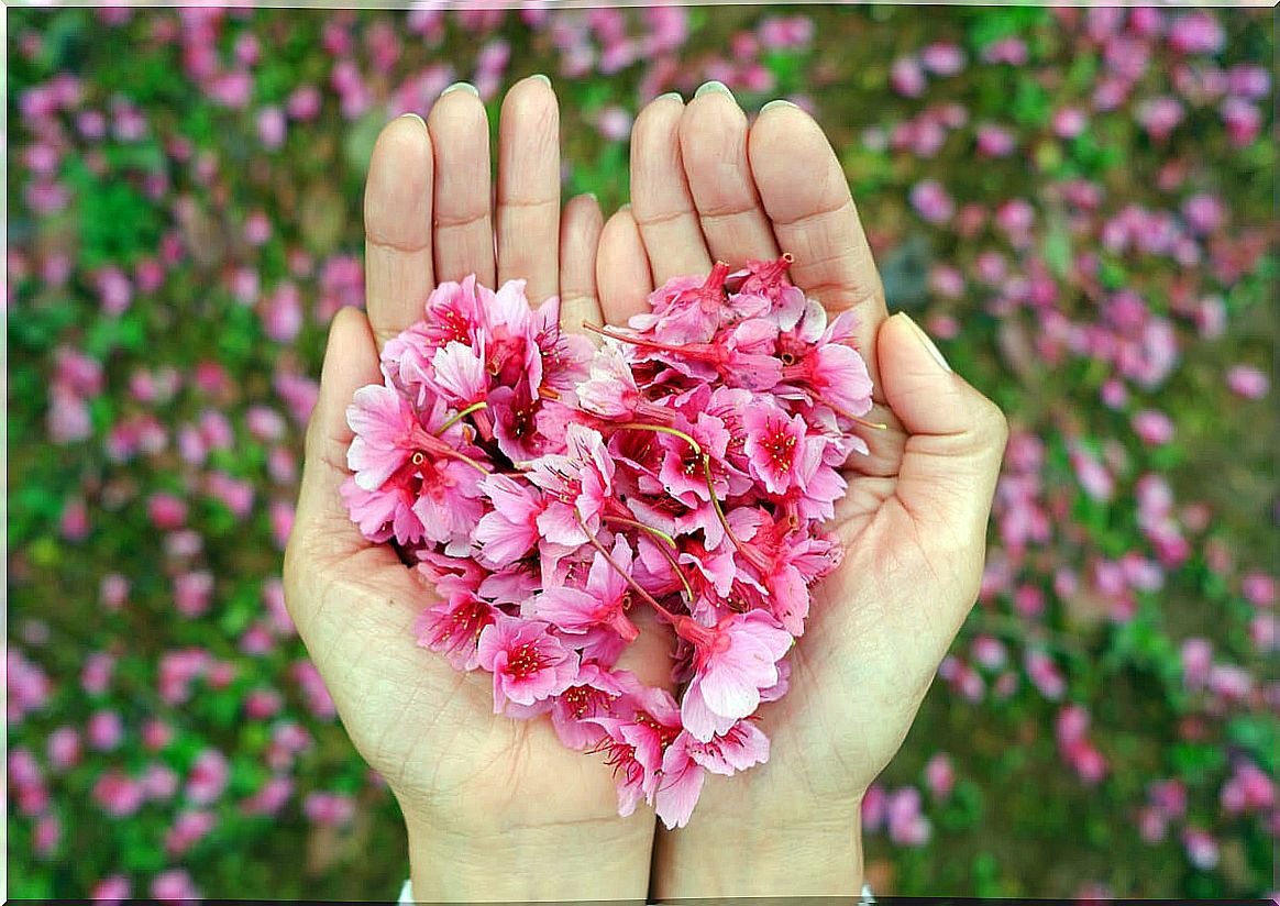 Hand with a heart of pink flowers representing kindness 