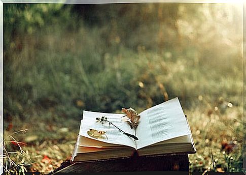 Book with leaves