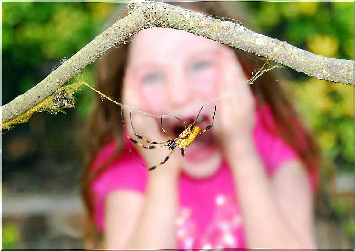 Girl with a phobia of spiders