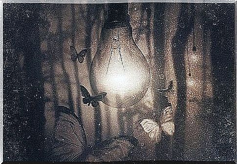 butterflies around knob of light representing who plays to lose you