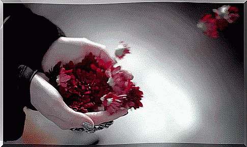 gif flowers