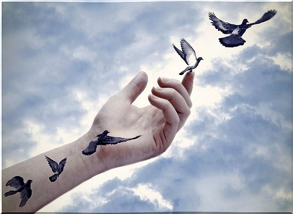 Hands letting birds fly symbolizing spiritual intelligence