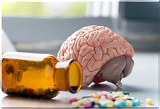 the brain and vitamin D