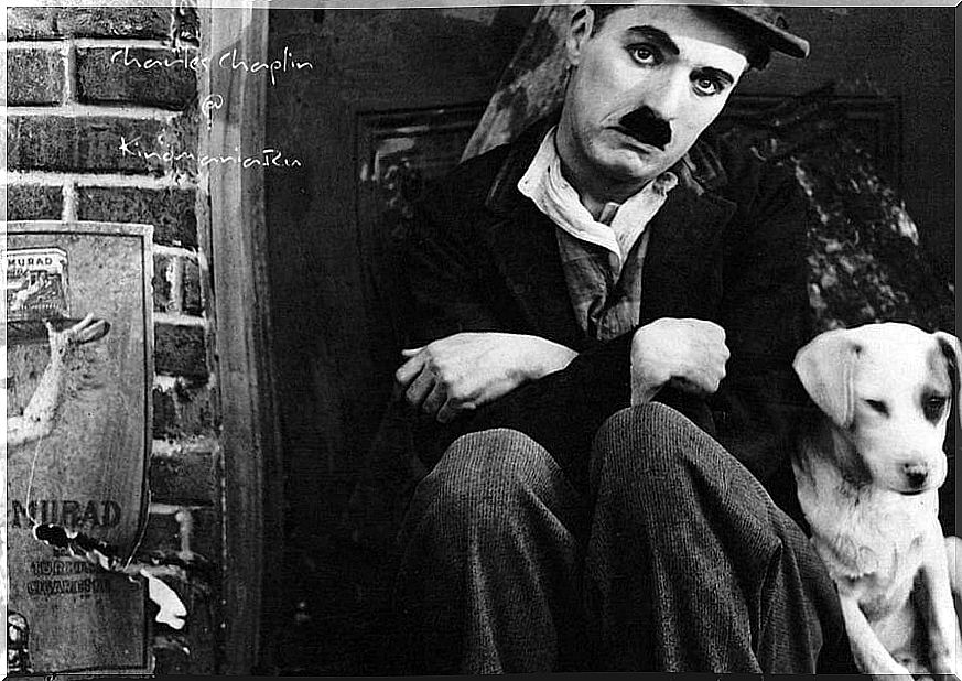 The world belongs to those who dare, beautiful poem by Charles Chaplin