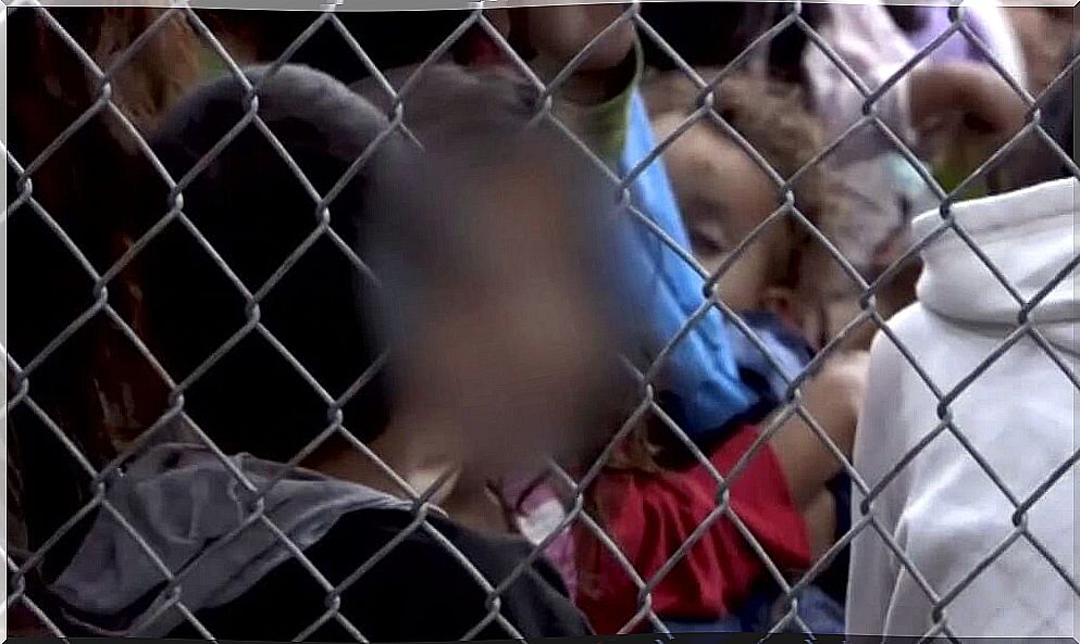 Children in cages