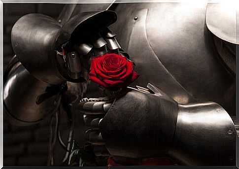 Knight in armor and a rose